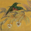 Gaston SUISSE (1896-1988) - Colibris dans les fleurs de vanille